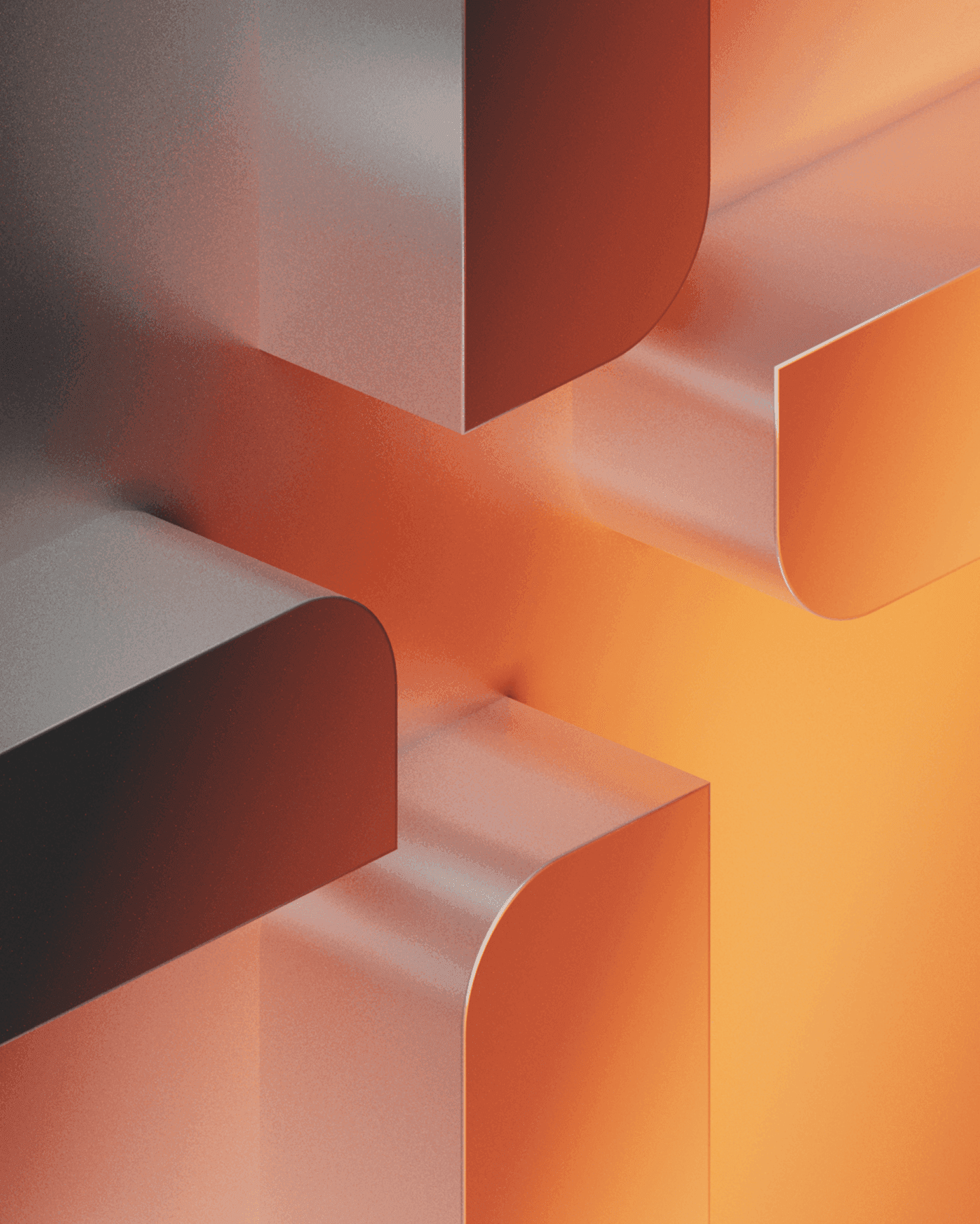 That’s why we 
created Rise.